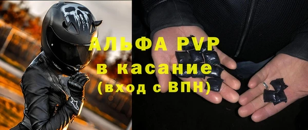 стафф Дмитриев