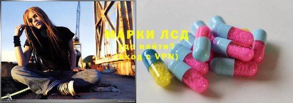 стафф Дмитриев