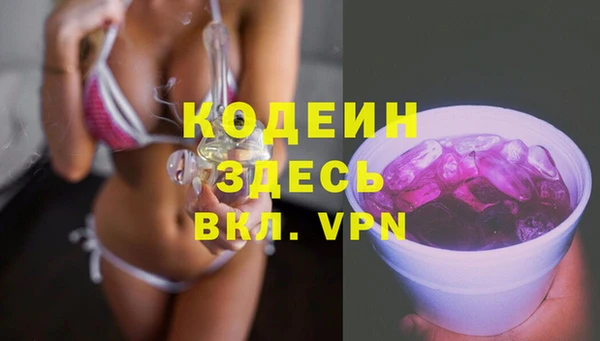 сатива Гусь-Хрустальный