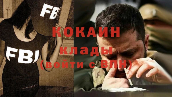 стафф Дмитриев