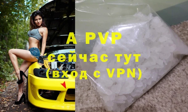 стафф Дмитриев
