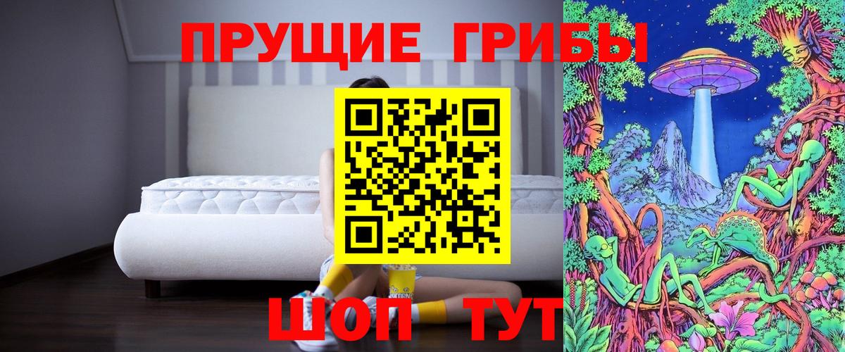 где можно купить   Вход с VPN  Славгород  Псилоцибиновые грибы ЛСД 