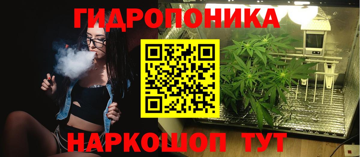 Канабис OG Kush Славгород